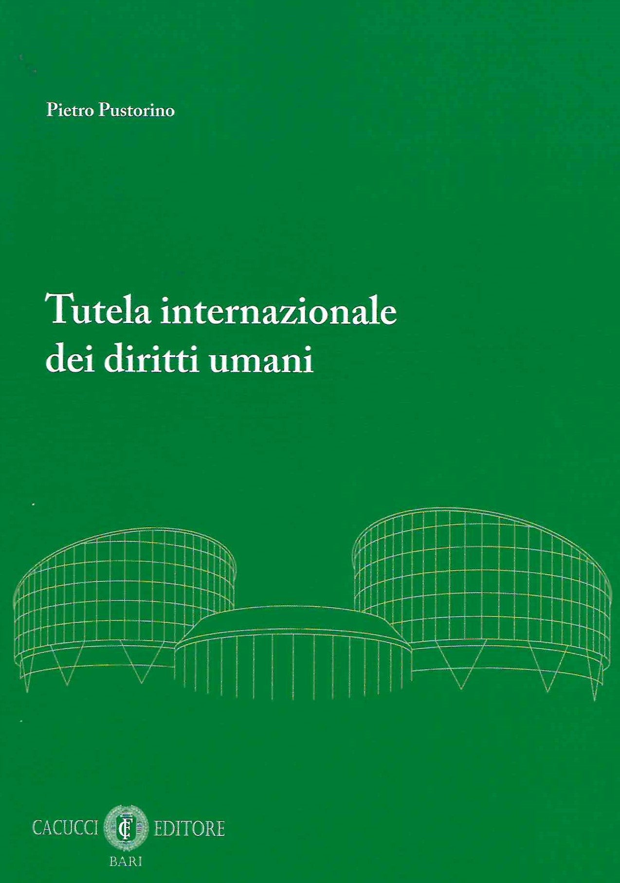 Tutela internazionale diritti umani - Pustorino