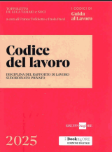 Codice del Lavoro 2025 - Il Sole 24 Ore