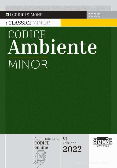 Codice Ambiente Minor -