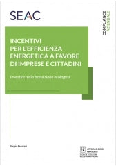INCENTIVI PER L'EFFICIENZA ENERGETICA A FAVORE DI IMPRESE E CITTADINI